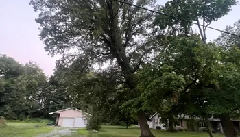 Tree Removal for Hunnicutt’s Tree Service L.L.C. in Monticello, IN
