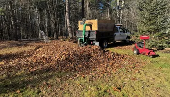 Tree Work for Baboosic Tree & Landscape in Merrimack, NH