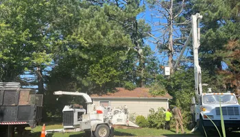 Tree Removal for Ross Family Tree Service LLC  in Hohenwald, TN