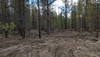 Tree Removal for Bailey's Cutting LLC in Bend, Oregon