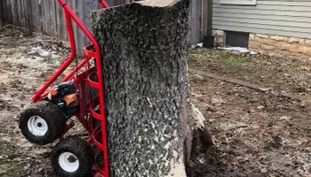 Tree Removal for Mays Tree and Stump Removal in Alden, NY
