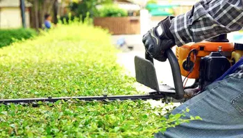 Softscaping Design & Installation for Mulch & Dig in West Bloomfield Township, MI