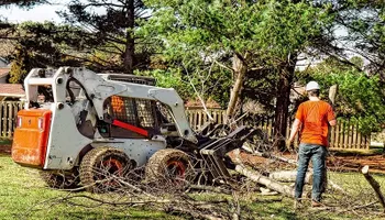 Tree Removal for Dale's Tree Service in Springdale, AR