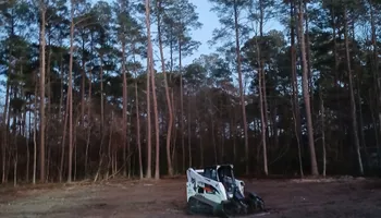 Tree Removal for Kingdom Riderz Hauling And Tree Service in Tar Heel, NC