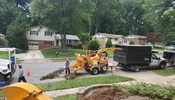 Tree Removal for W D Giampa Lawns and Landscape Inc. in Independent Hill, VA