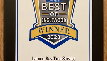 Tree Removal for Lemon Bay Tree Service  in Englewood, FL
