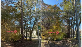 Tree Removal for Meade tree service in Greensboro, NC