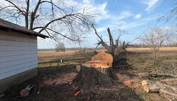 Tree Removal for Kadin’s Tree Service in North Vernon, IN