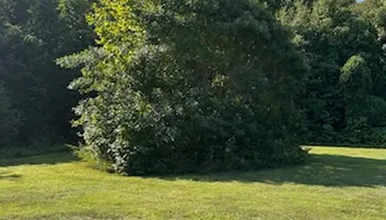 Driveway Design & Build for Lewis Oaks Landscaping in King and Queen County, VA