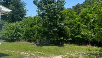 Tree Removal for Etherton’s Tree Service in Quinton, NJ