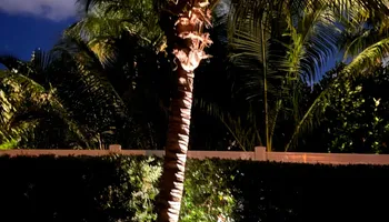Landscape & Design for South Florida Terra Systems in Boynton beach ,  FL