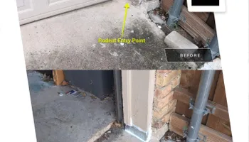 Residential Wildlife Control for Topper's Wildlife Removal in Garland, TX