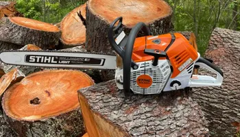 Tree Removal for Tree Fellers in Sumner County, TN