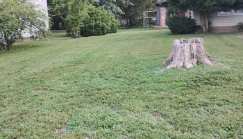 Mowing for Mark's Lawn Care in Mount Pleasant, TN