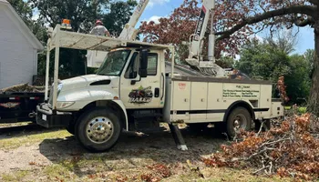Tree Removal for Baker Professional Services LLC in Shelbina, MO