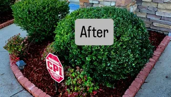 Lawn Maintenance for Surprising Odyssey in Gibsonville, NC