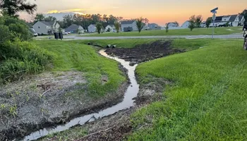Land Clearing for Untamed Services in Shawboro, NC