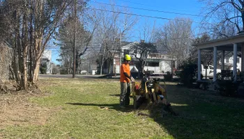 Tree Removal for Ross Family Tree Service LLC  in Hohenwald, TN