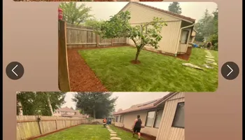 Tree Removal for T&S Tree Care LLC in Portland, OR