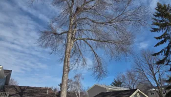 Snow Removal  for K and Z Tree Care in Isanti County, MN