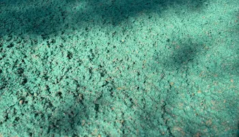 Hydroseeding for Sandy Creek Hydroseeding in Monroe, GA