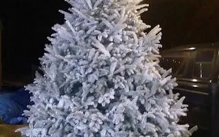 Pinestraw for BAM Another Pinestraw Lot in Flowery Branch, GA