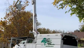 Tree Removal for Lalo's Tree Service in Willows, CA