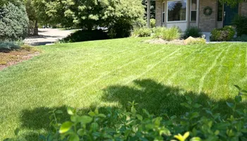Mowing, Edging & Trimming for Denver Bros Lawn Control in Denver, CO