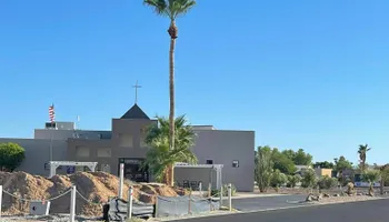 Fall and Spring Clean Up for Oliver L. Palm & Tree services in Yuma, AZ