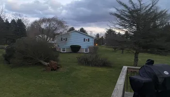 Tree Removal for Total Tree Service in Washington, NJ