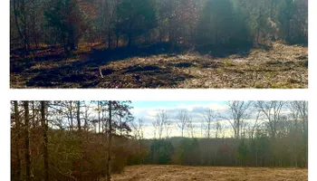 Land Clearing for Thickets Land Clearing & Excavation in Hohenwald, TN