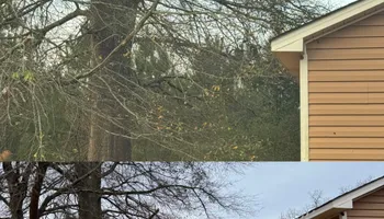 Painting and Drywall for Camalett Services in Perry, GA