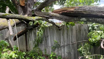 Tree Removal for Licensed to Cut Tree Service in Athens, PA