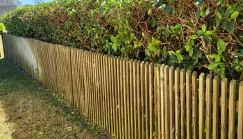 Lawn Maintenance for Marty's Lawn Service in Green Cove Springs, FL