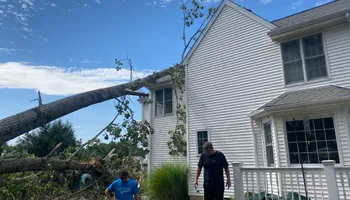 Tree Services for Hennessey Landscaping LLC in Oxford,  CT 
