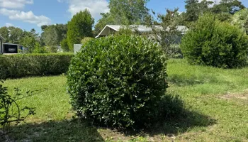 Mowing for Young's Lawn Services LLC in Ocala, FL