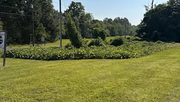 Driveway Design & Build for Lewis Oaks Landscaping in King and Queen County, VA