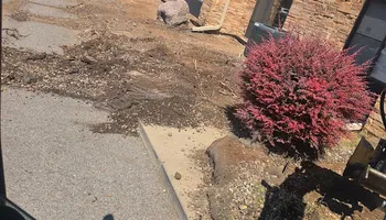 Xeriscaping for LRS: Landscape, Rescue, Snow in Silt, CO