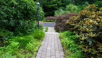 Mowing for Sousa Landscape Design and Services in Madison, CT