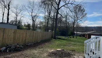 Tree Removal for Revival Tree Management in Chattanooga, TN