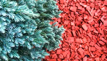 Lawn Mowing and Maintenance for Chief Lawn Care in Lee's Summit, MO