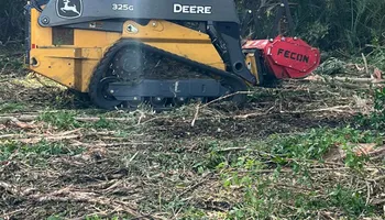 Tree Removal for TREE BOYS in Ruskin, FL