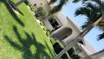 Stump Grinding for Rize N’ Grind  in Punta Gorda, FL