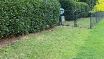 Lawn Maintenance for WD Lawn Services in Loganville, GA