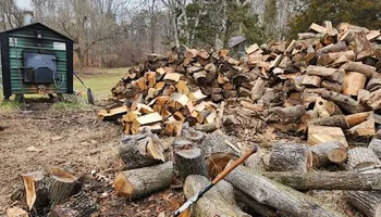 Tree Removal for Smith Tree Experts in Palmyra, VA
