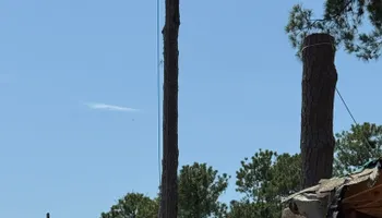 Tree Removal for Tucker's Tree Service and Stump Grinding in Lugoff, SC