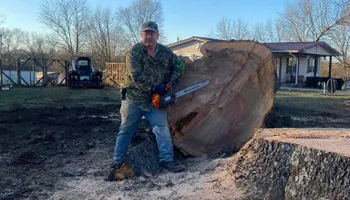 Tree Removal for Lance Tree Service in Tellico Plains ,  TN