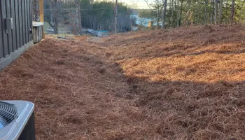 Land Clearing for Gibson Grade Works in Towns County, GA