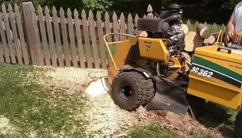 Tree Removal for Mario's Tree Service in Richmond, VA