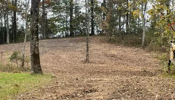 Land Clearing for Great American Landworks  in Morrison, TN